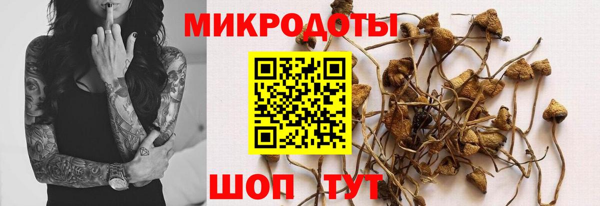 Галлюциногенные грибы Cubensis  Вход с VPN  Псилоцибиновые грибы мухоморы  Кировск 