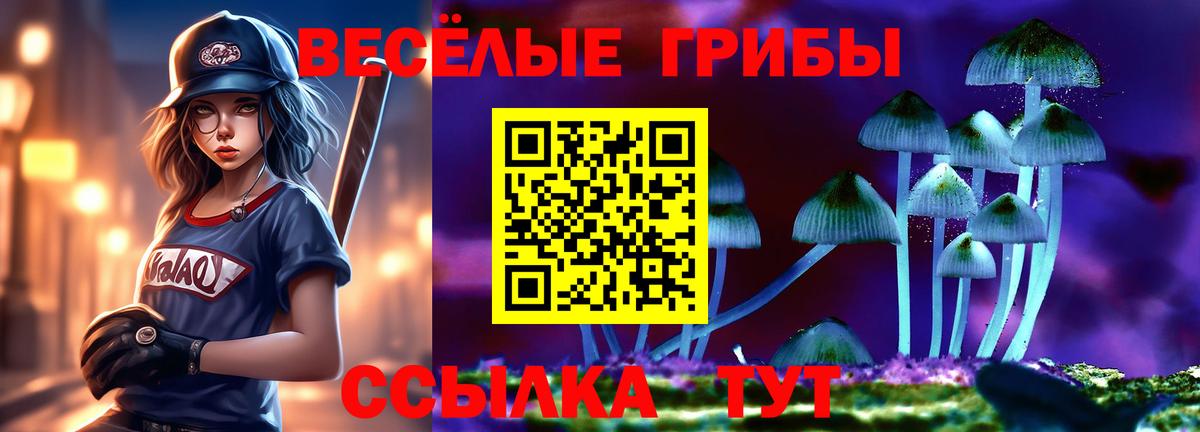 Галлюциногенные грибы MAGIC MUSHROOMS Кировск